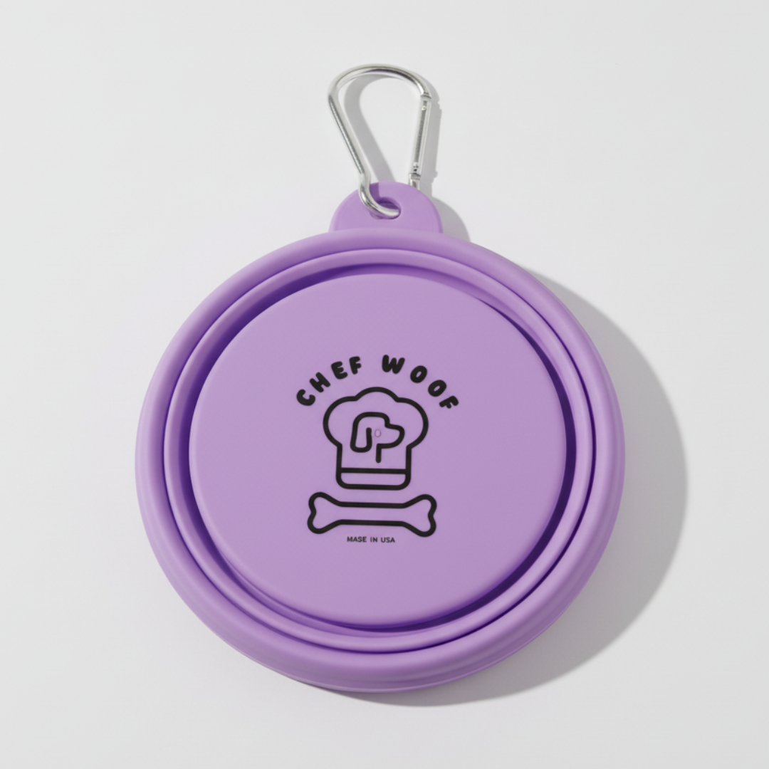 CHEF WOOF Collapsible Travel Bowl